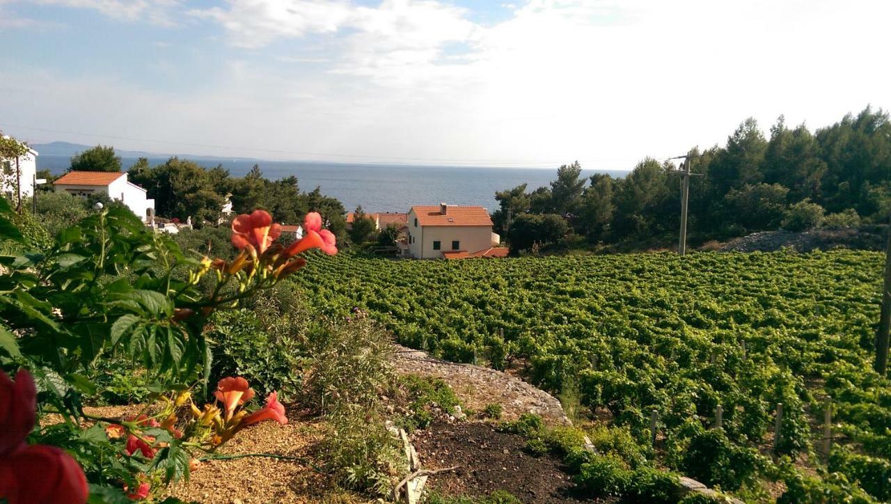 Apartmani Sandro Ivan Dolac Esterno foto